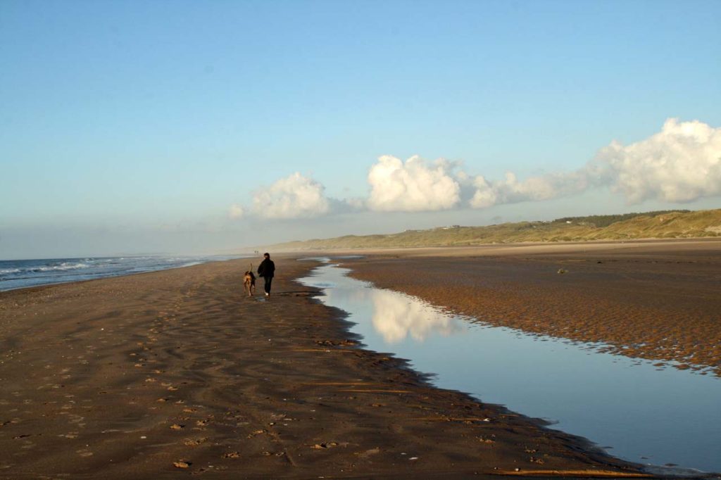 grönhöj strand